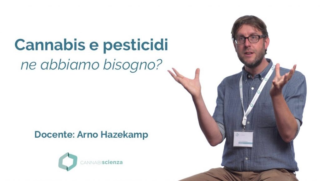 Cannabis e pesticidi - Arno Hazekamp