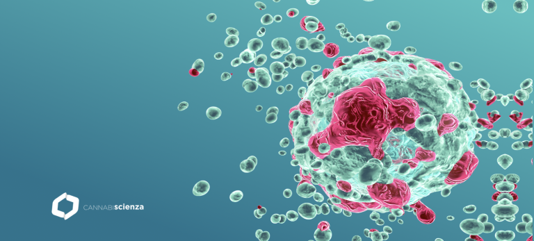 Cannabis Medica in oncologia - Sito - Cannabiscienza