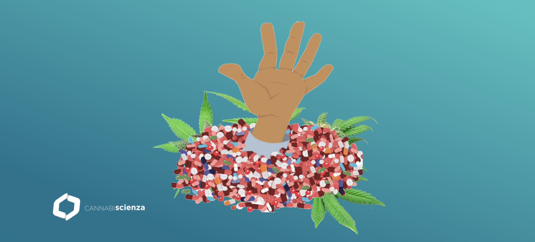 Cannabis Medica e Riduzione dell&rsquo;Uso di Benzodiazepine - Cannabiscienza