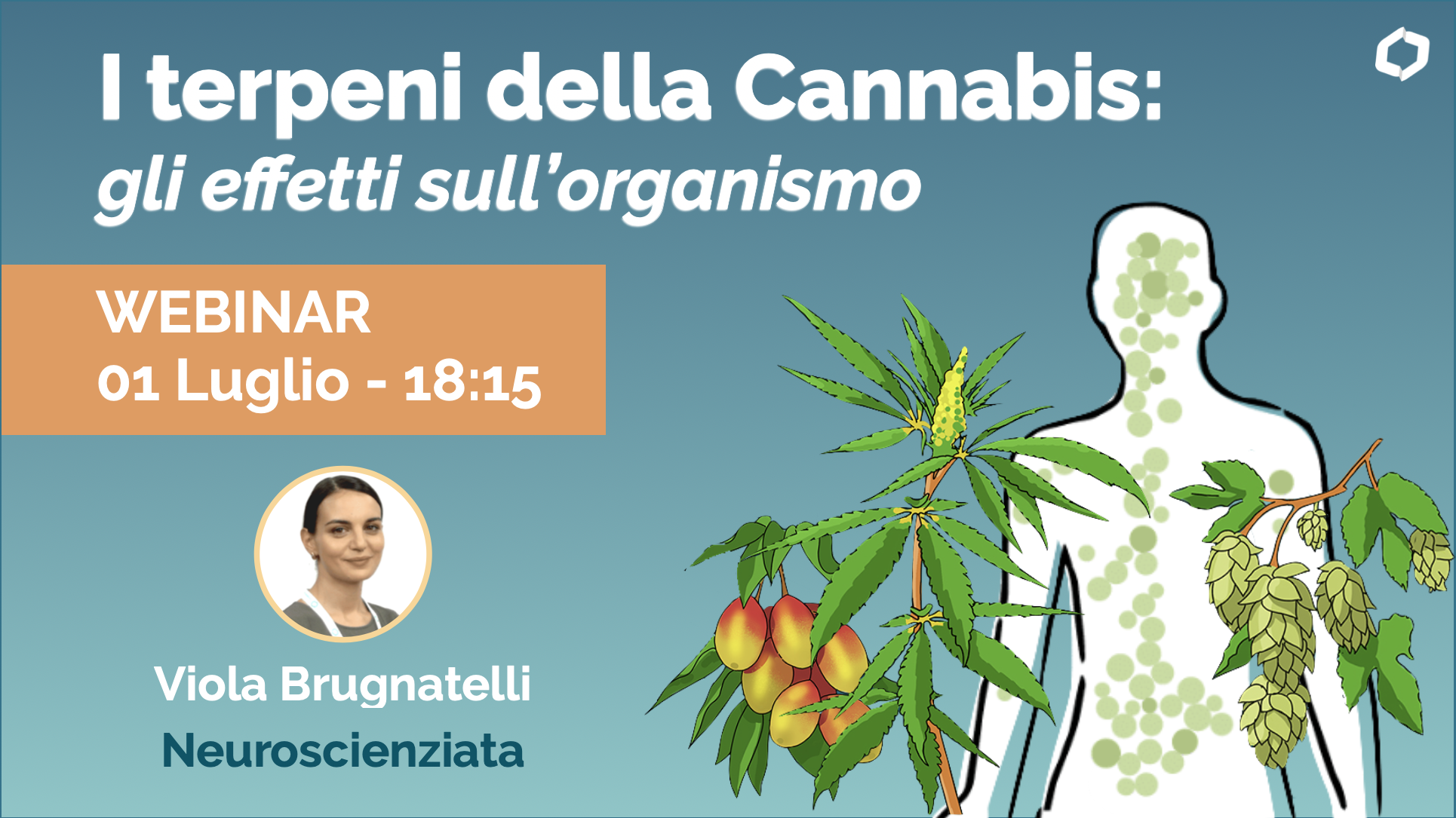 I terpeni della Cannabis - Webinar - brugnatelli - Cannabiscienza