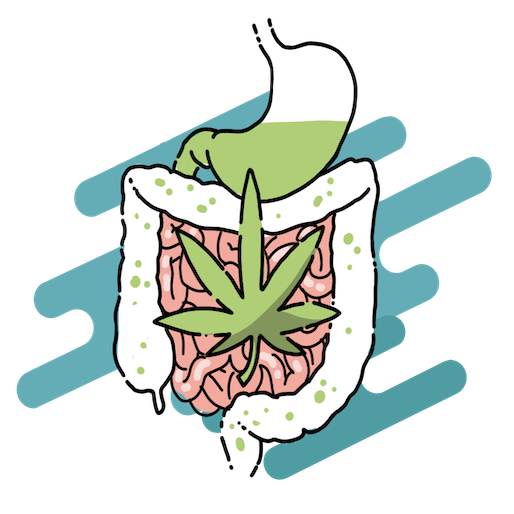 Cannabis e Alimentazione - Corso E-learning - Cannabiscienza