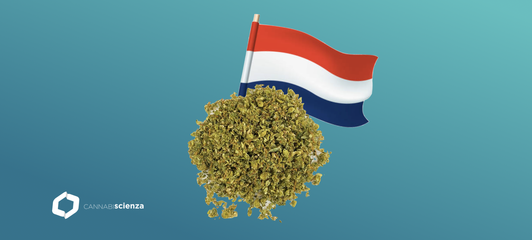 Bediol - Cannabiscienza - Sito
