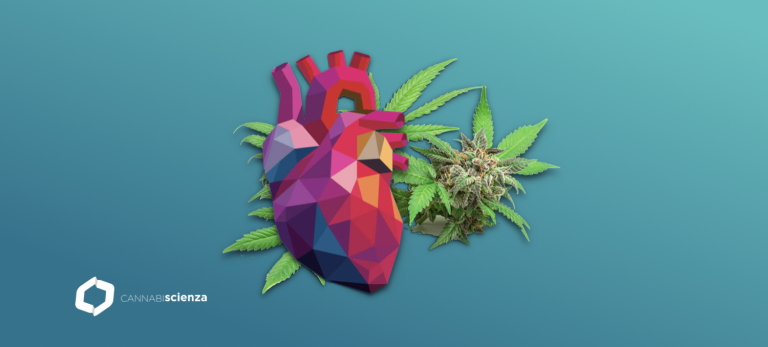 Cannabis CBD e ipertensione - Sito - Cannabiscienza